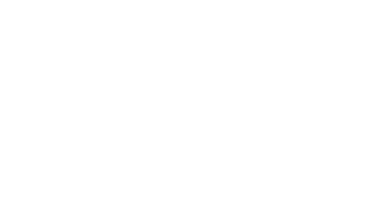 Logo de ZEF Attitud'